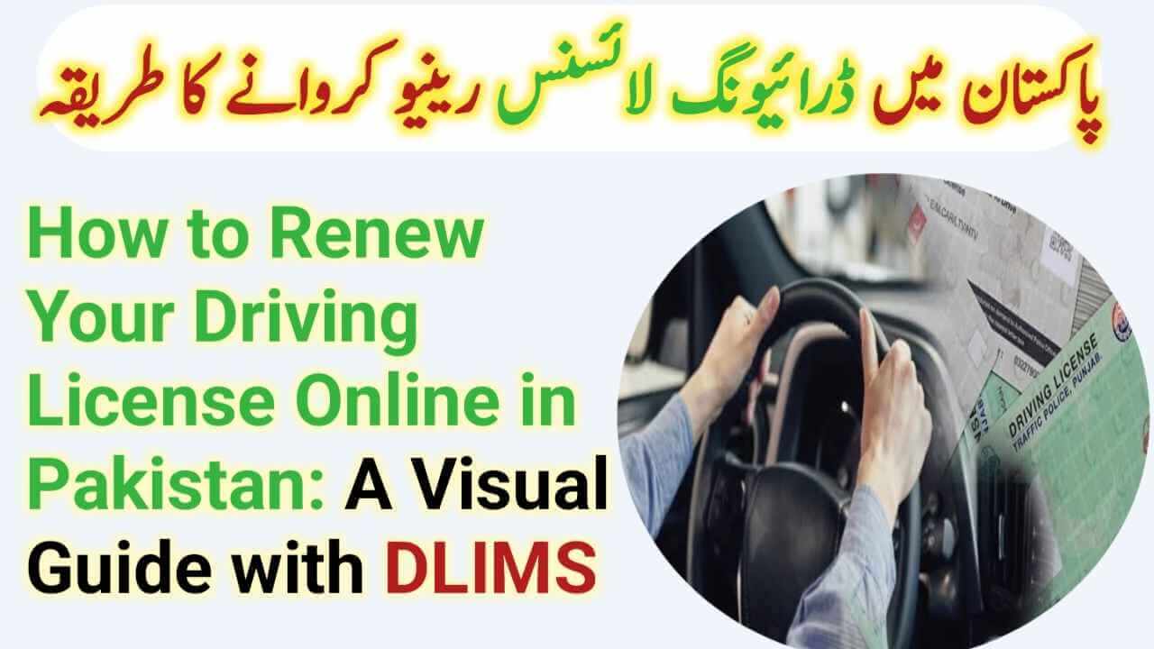 dlims-driving-license-renewal-guide