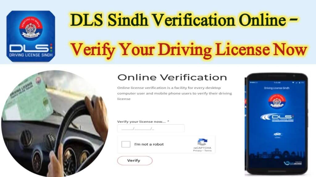 DLS-Sindh-Verification-Online